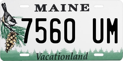 ME license plate 7560UM