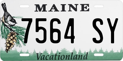 ME license plate 7564SY