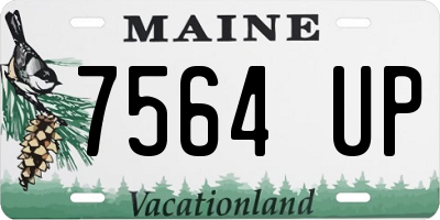 ME license plate 7564UP