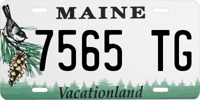 ME license plate 7565TG