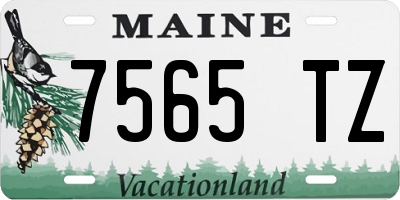 ME license plate 7565TZ