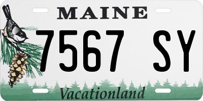 ME license plate 7567SY