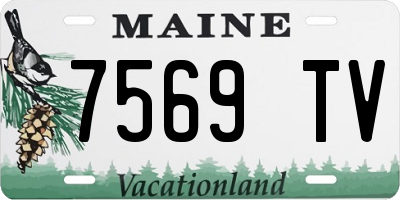 ME license plate 7569TV