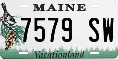 ME license plate 7579SW