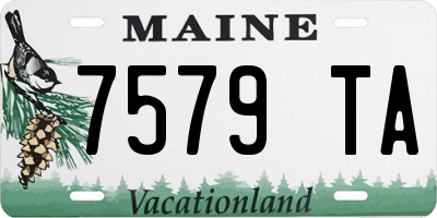 ME license plate 7579TA