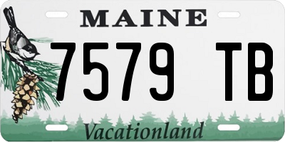 ME license plate 7579TB