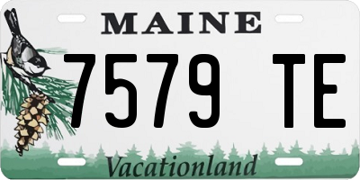 ME license plate 7579TE