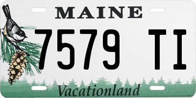 ME license plate 7579TI