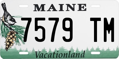 ME license plate 7579TM
