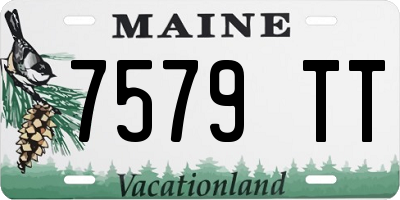 ME license plate 7579TT