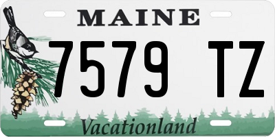 ME license plate 7579TZ
