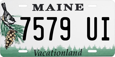 ME license plate 7579UI