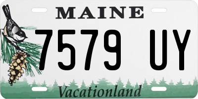 ME license plate 7579UY