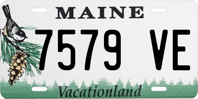 ME license plate 7579VE