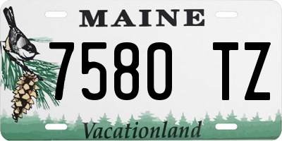 ME license plate 7580TZ