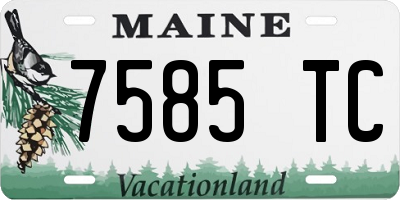 ME license plate 7585TC