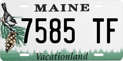 ME license plate 7585TF