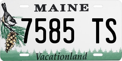 ME license plate 7585TS