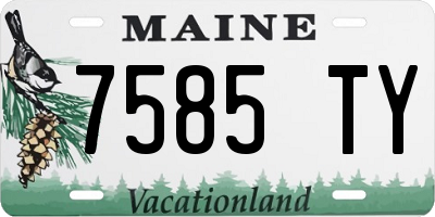 ME license plate 7585TY