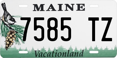 ME license plate 7585TZ