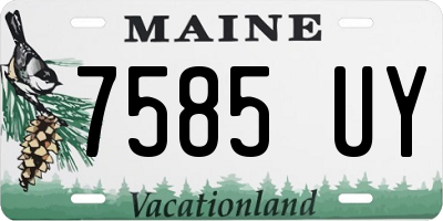 ME license plate 7585UY