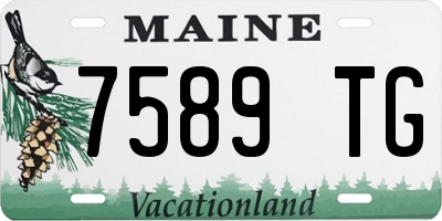 ME license plate 7589TG