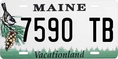 ME license plate 7590TB