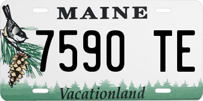 ME license plate 7590TE