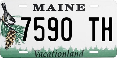ME license plate 7590TH