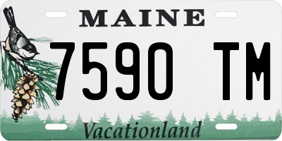ME license plate 7590TM