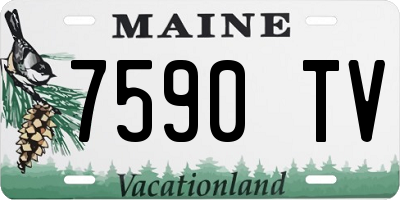 ME license plate 7590TV