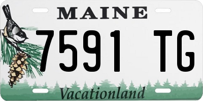 ME license plate 7591TG