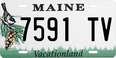 ME license plate 7591TV