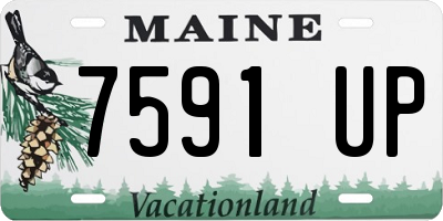 ME license plate 7591UP