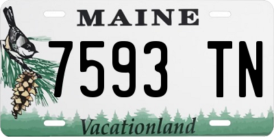 ME license plate 7593TN