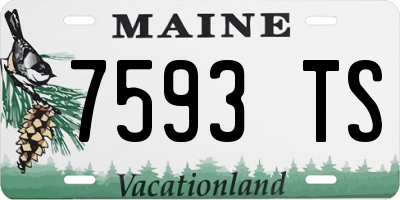 ME license plate 7593TS