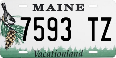 ME license plate 7593TZ