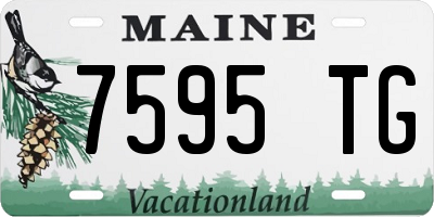 ME license plate 7595TG