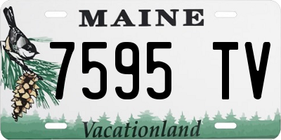 ME license plate 7595TV