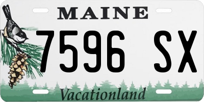ME license plate 7596SX