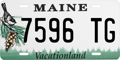 ME license plate 7596TG