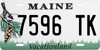 ME license plate 7596TK