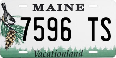 ME license plate 7596TS