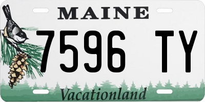 ME license plate 7596TY