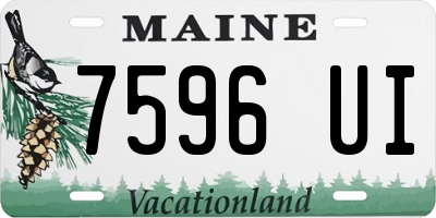 ME license plate 7596UI