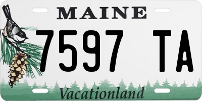 ME license plate 7597TA
