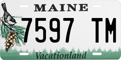 ME license plate 7597TM