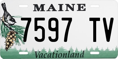 ME license plate 7597TV