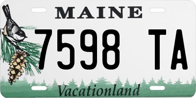 ME license plate 7598TA