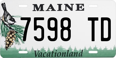 ME license plate 7598TD